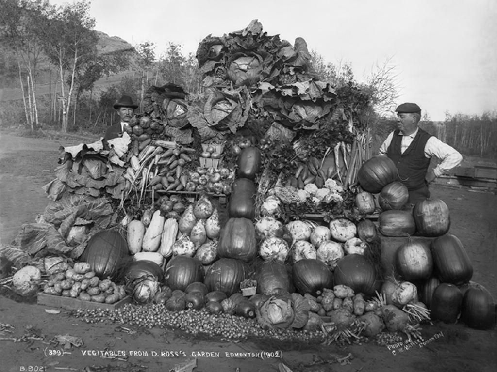 Man standing beside very large pile of vegetables.