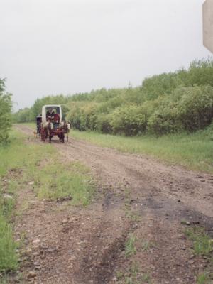 Photo of a horse-pulled wagon on the Iron Horse Trail.  PAA Photo # PR2021.0032.0064.0009.0003